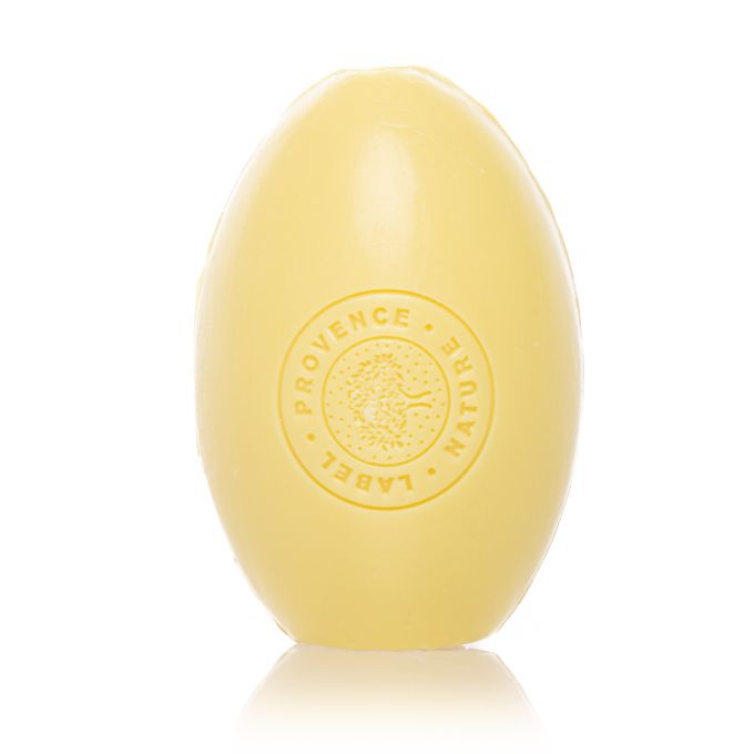 RECHARGE PORTE SAVON 270G CITRON