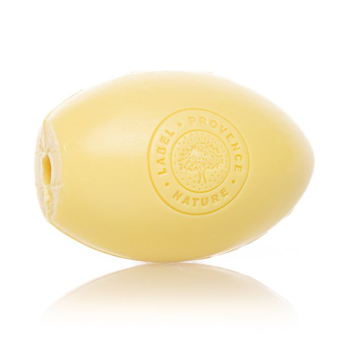 RECHARGE PORTE SAVON 270G CITRON