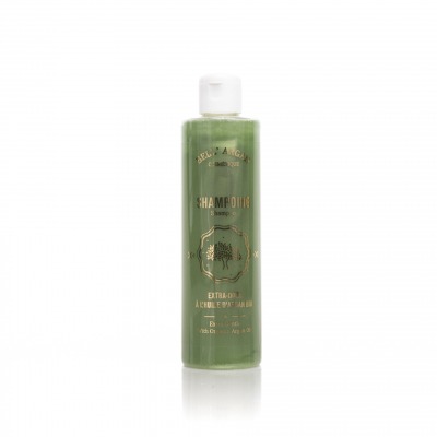SHAMPOING A L'HUILE D'ARGAN BIO 250ML